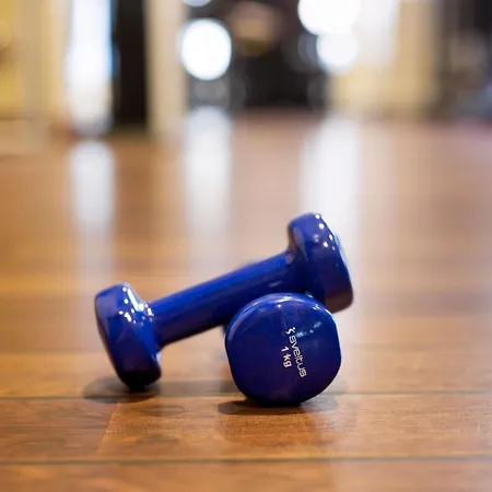 Mercure Paris Cdg Airport & Convention 4*